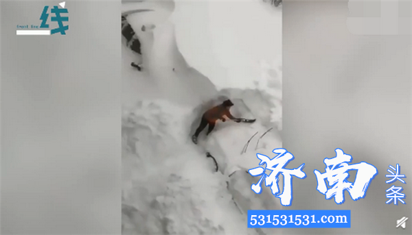 黑龙江省西部地区迎来大到暴雪天气局地特大暴雪积雪最厚的地方能有2米