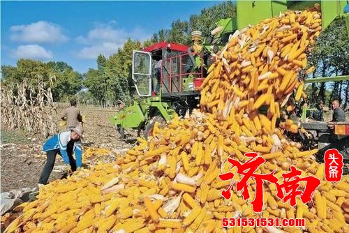 粮食生产连年丰收 产量稳定在1.3万亿斤以上 全面建成小康社会