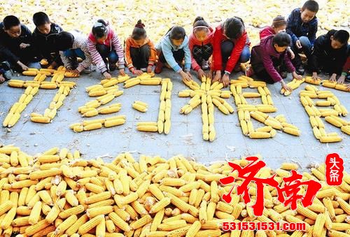 今日是世界粮食日 粮为民本 粮食安全关乎世界每一个人