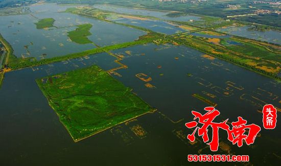 济南市章丘区白云湖街道：趟出打造水乡白云加快湿地生态振兴新路子