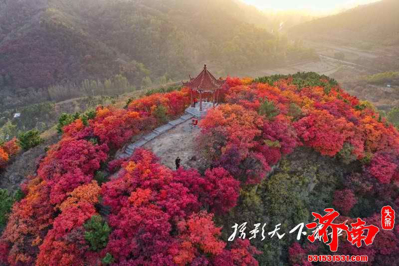 济南又到一年红叶季，红山翠谷景区满山红遍灿若云霞！