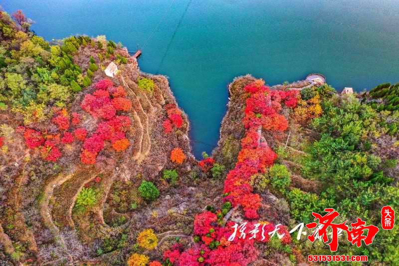 济南又到一年红叶季，红山翠谷景区满山红遍灿若云霞！