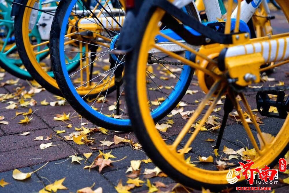 一场雨来一场寒，济南的街头变得韵味十足