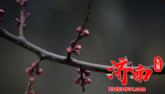 北京今日春雨又“上线” 连续四个周五出现降雨