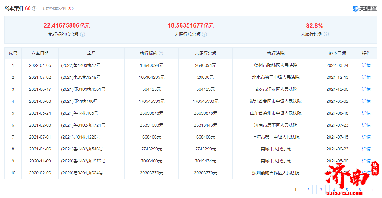 山东龙力生物科技股份有限公司被执行标的1946万余元